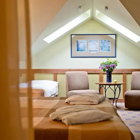 Hotel Baltic Druskininkai