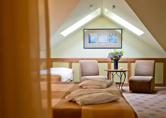 Hotel Baltic Druskininkai